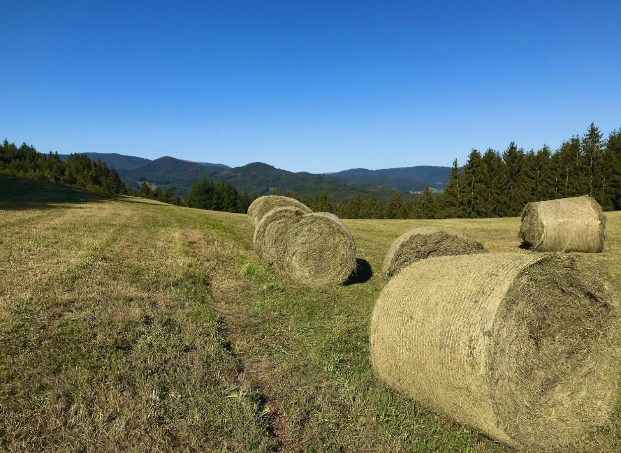 Genusshotel Hirschen - Erholung Im Gruenen Sallneck Bagian luar foto